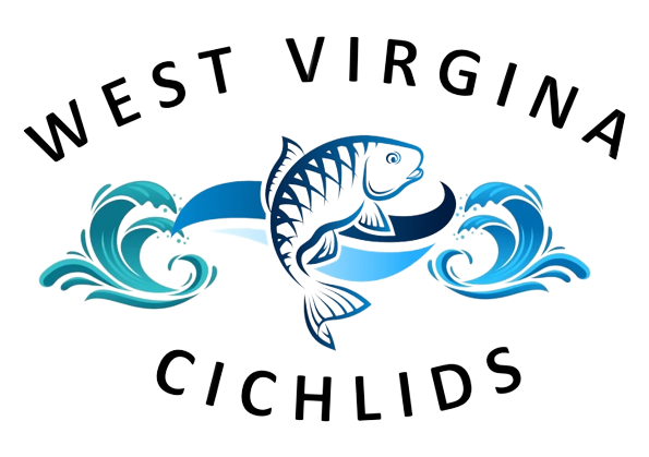 West Virginia Cichlids